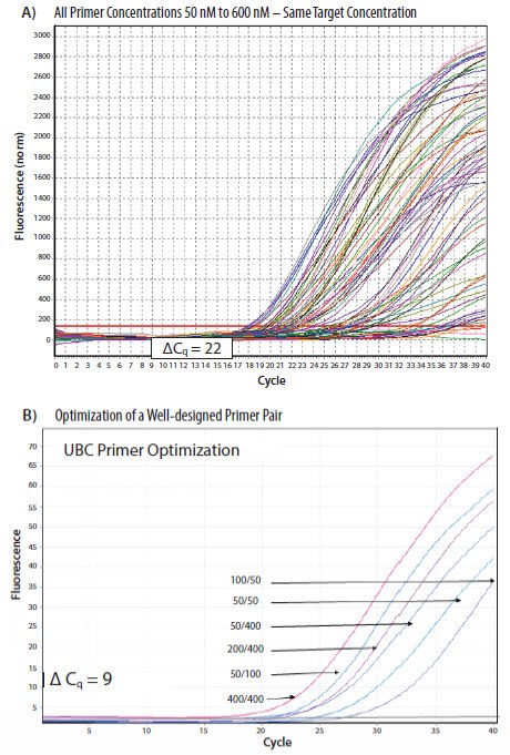 pcr-primers-concentration Results from a PCR primers concentration optimization from a SYBR Green I dye assay
