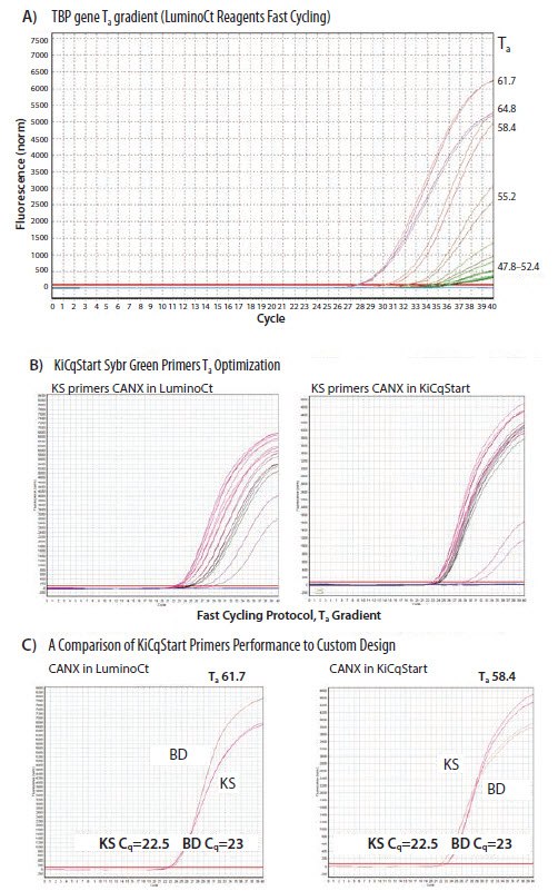 primer-optimization Primer optimization using Ta.