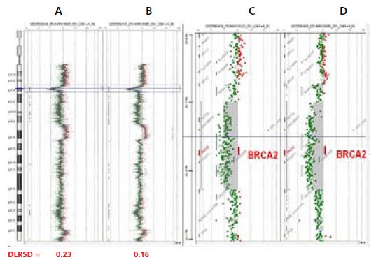 Array CGH Analysis of Challenging Samples