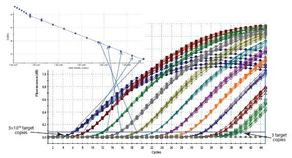 Construcción de una curva estándar. El Cq registrado para cada muestra de una serie de diluciones se representa en una escala logarítmica lineal frente a la concentración relativa. Construcción de una curva estándar.