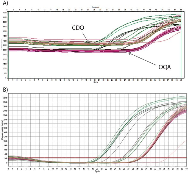 dilutions-of-an-artificial-oligo Dilutions of an artificial oligo