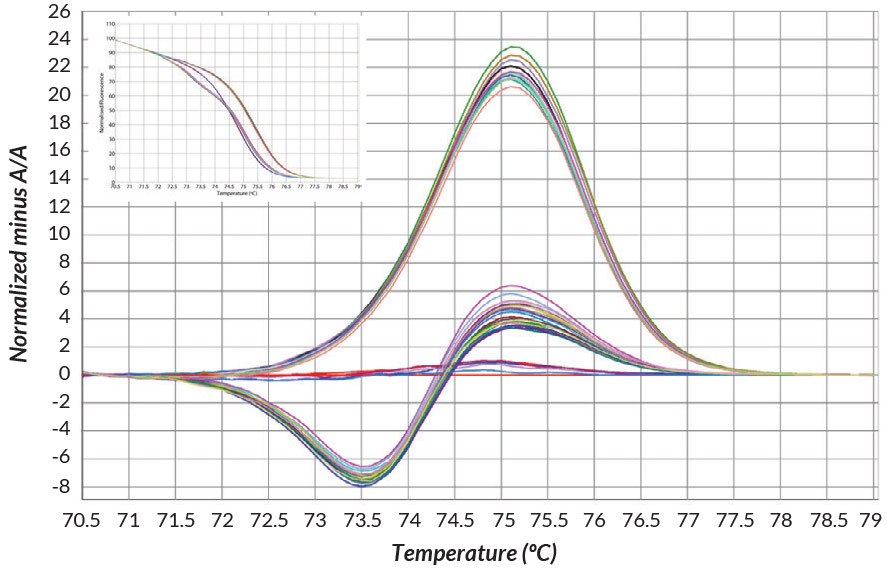 KAPA HRM DNA Extracts DNA extracts were prepared from buccal swabs obtained from 36 individuals using KAPA Express Extract DNA Extraction Kits (according to recommended protocols).