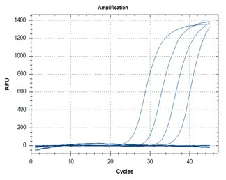 RT-qPCR – Quantitative Reverse Transcription PCR A: N1 Assay