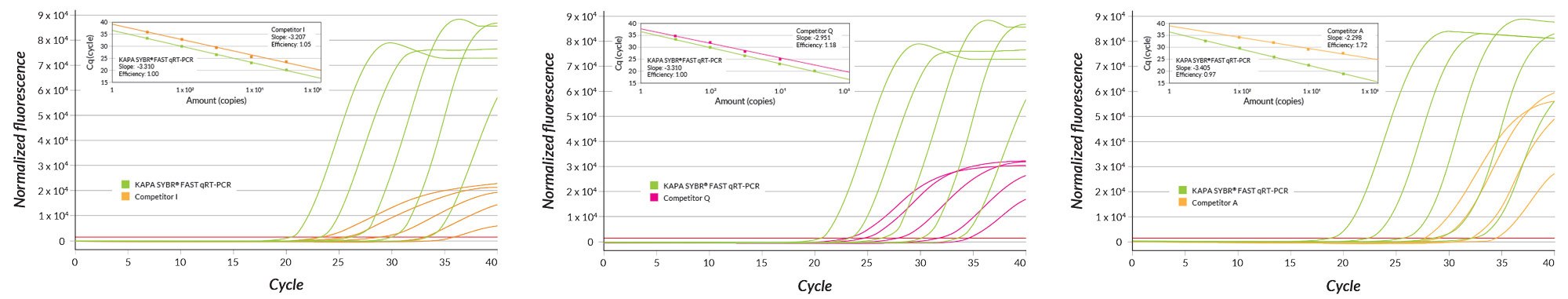 KAPA SYBR® FAST One-Step RRMI gene RRMI gene