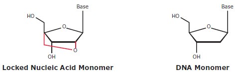locked-nucleic-acid-dna-monomer Comparison of LNA and DNA nucleotide structures