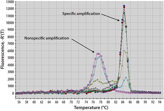 melt-curve-analysis Example Melt Curve Analysis