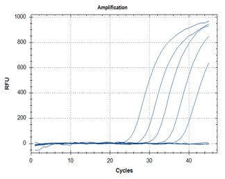 RT-qPCR – Quantitative Reverse Transcription PCR
