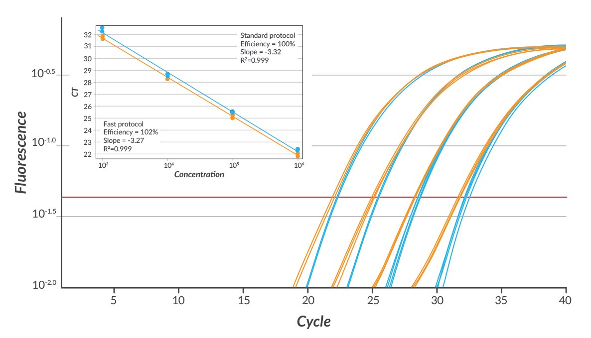 PROBE FAST Amplification Plots Amplification plots were generated using either a standard cycling protocol (95ºC for 10 min followed by 40 cycles of 95ºC, 15 sec; 60ºC, 60 sec) or a fast cycling protocol: 95ºC for 3 min followed by 40 cycles of 95 ºC, 3 sec; 60 ºC, 20 sec. Reaction volumes also included human genomic DNA (10-fold dilutions over a 0.1 ng – 100 ng per reaction range), 200 nM of each primer, and 200 nM of hApoB100 (FAM/BHQ-1) hydrolysis probe.
