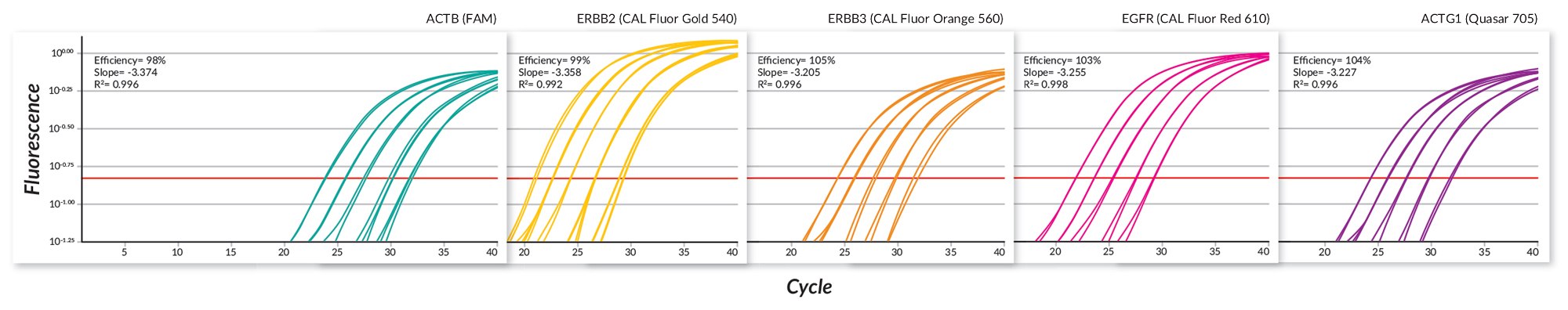 PROBE FAST results for amplicons Results for all 5 amplicons across a 5 point dilution series were obtained when assayed in penta-plex using a fast cycling protocol.