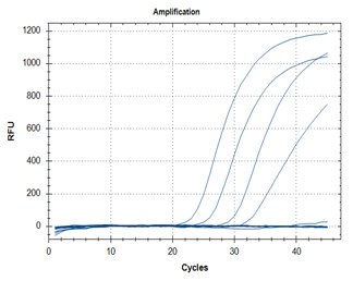 RT-qPCR – Quantitative Reverse Transcription PCR A: N1 Assay