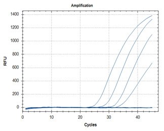 RT-qPCR – Quantitative Reverse Transcription PCR SARS-CoV-2 detection assays utilizing the Quantitative RT-PCR ReadyMix™ (Cat. No. QR200) for primer targets N1 (graph A) and N2 (graph B).