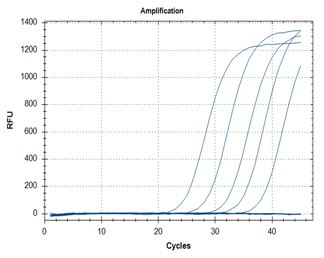 RT-qPCR – Quantitative Reverse Transcription PCR SARS-CoV-2 detection assays utilizing the KiCqStart® One-Step Probe RT-qPCR ReadyMix™ (Cat. No. KCQS07) for primer targets N1 (graph A) and N2 (graph B).