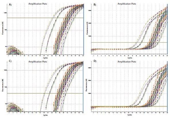El ajuste del umbral influye en el Cq absoluto registrado y puede influir en el ΔCq entre muestras. A). Utilizando una representación de los datos en un gráfico logarítmico frente a lineal, el umbral se establece en la mayor intensidad de la fluorescencia, pero donde los gráficos de amplificación muestran fases logarítmicas paralelas. B). Se mantiene la configuración del umbral de A) y se muestra en el gráfico lineal frente a lineal. C). Utilizando un gráfico logarítmico frente a lineal de los datos, el umbral se establece en la menor intensidad de la fluorescencia, pero donde los gráficos de amplificación muestran fases logarítmicas paralelas. D). Se mantiene la configuración del umbral de C) y se muestra en el gráfico lineal frente a lineal. En cada caso, los valores de ΔCq entre las muestras son los mismos. El ajuste del umbral influye en el Cq absoluto registrado y puede influir en el ΔCq entre muestras.