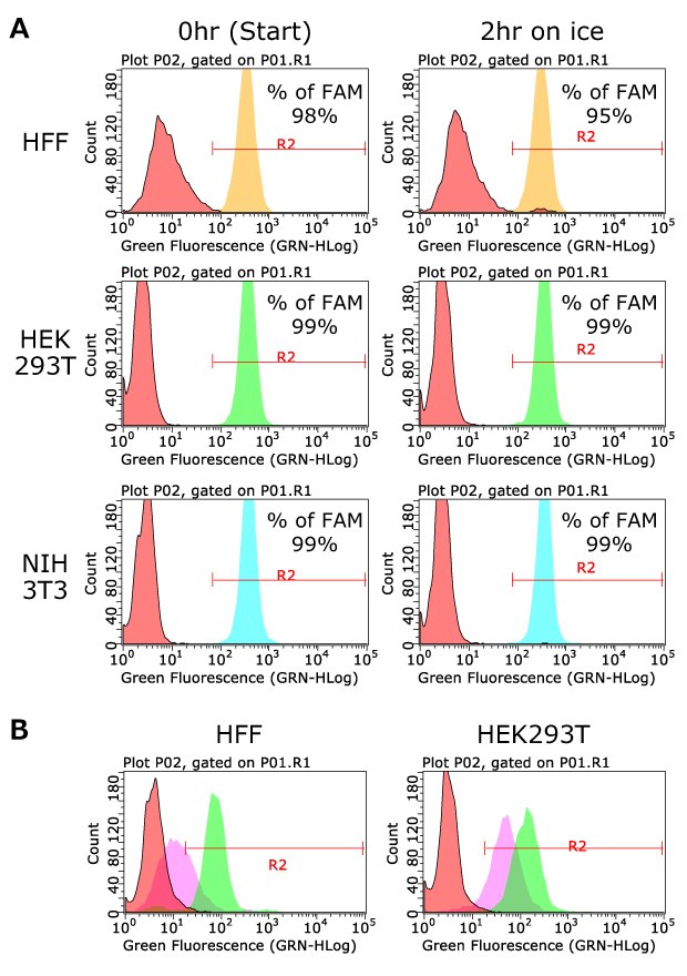 Labeling efficiency with FAM-labeled DNA sample barcode#1 Evaluation of the MULTI-seq reagent labeling efficiency.