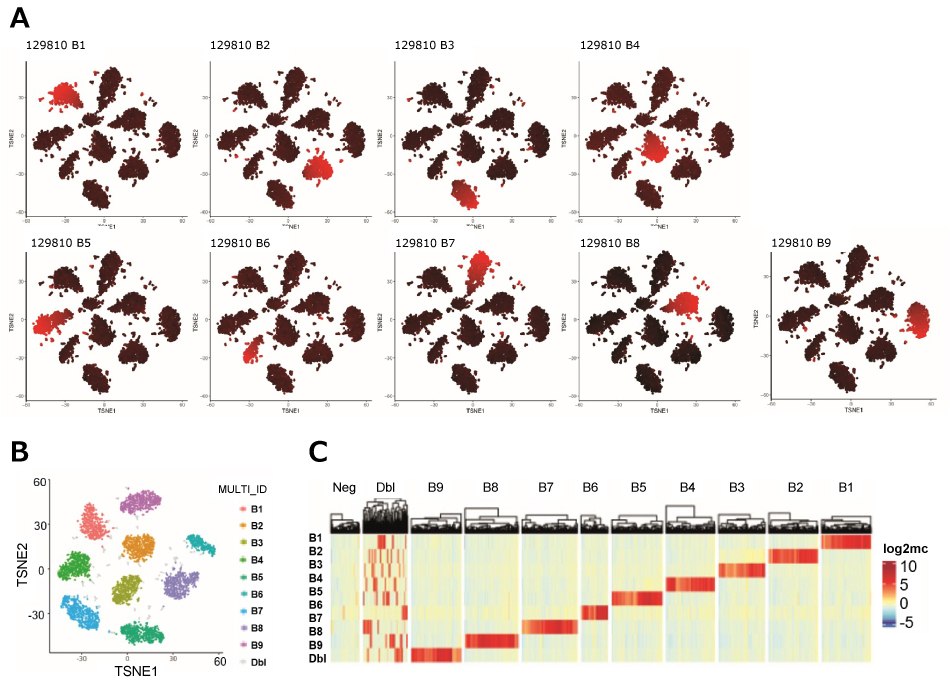 MULTI-seq demultiplexing and QC of a scRNA-seq experiment using 9 different barcodes. scRNA-seq experimental data using MULTI-seq and 9 different barcodes.