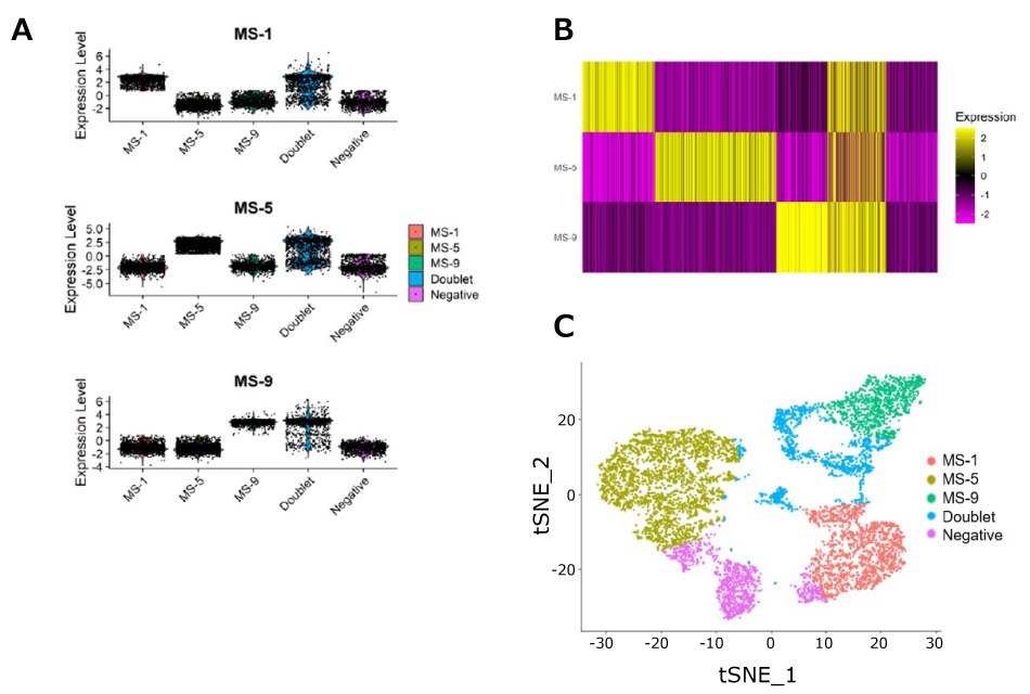 scRNA-Seq experimental sample data using MULTI-seq LMOs Evaluation of MULTI-seq reagents for scRNA-Seq applications.
