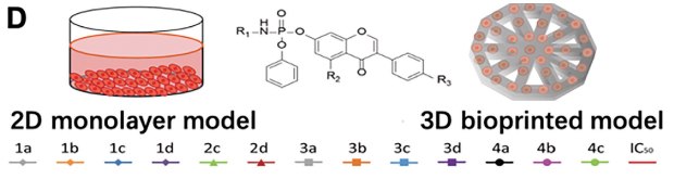 Amino acid-based flavone phosphoramidates An illustration of 13 amino acid-based flavone phosphoramidates placed in a solution showing their 1D monolayer model and then converted to their 3-D bioprinted model.