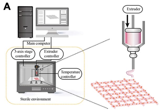 Workflow 3D printed breast cancer model An illustration of the workflow for 3D printed breast cancer model, starting with 2D image of the model in the main computer which feeds the required information to a printer kept in a sterile environment with a blown-up version of the extruder nozzle in the printer shown extruding a 2-D shape into a 3-D object.