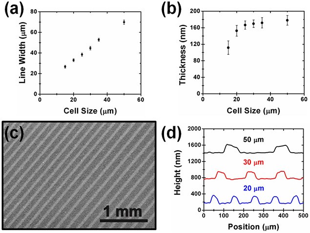 Characterization of gravure printed graphene lines. (a) Line width and (b) line thickness for varying cell size, measured prior to annealing by optical microscopy and optical profilometry, respectively. (c) Large-area scanning electron micrograph of printed lines. (d) Line height profiles measured prior to annealing by optical profilometry, averaged over approximately 2 mm of line length. Reproduced with permission from Ref 30. Copyright 2014, Wiley-VCH Verlag GmbH & Co. KGaA. Characterization of gravure printed graphene lines