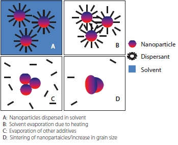 Sintering sequence of a metal nanoparticle based ink. Sintering sequence of a metal nanoparticle based ink