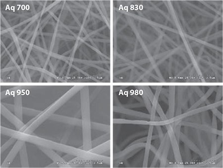 scanning-electron-micrographs scanning-electron-micrographs
