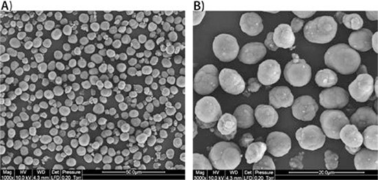 sem-microscopy-of-the-dried SEM microscopy