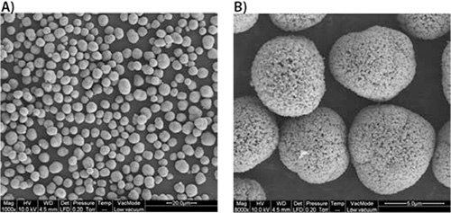 studies-were-conducted SEM images of the scaled-up