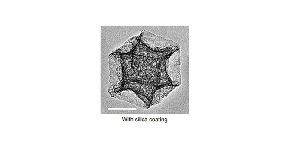 TEM of ZIF-8-derived Fe-N-C catalyst TEM image of ZIF-8-based Fe-N-C catalyst with a concave structure and silica coating
