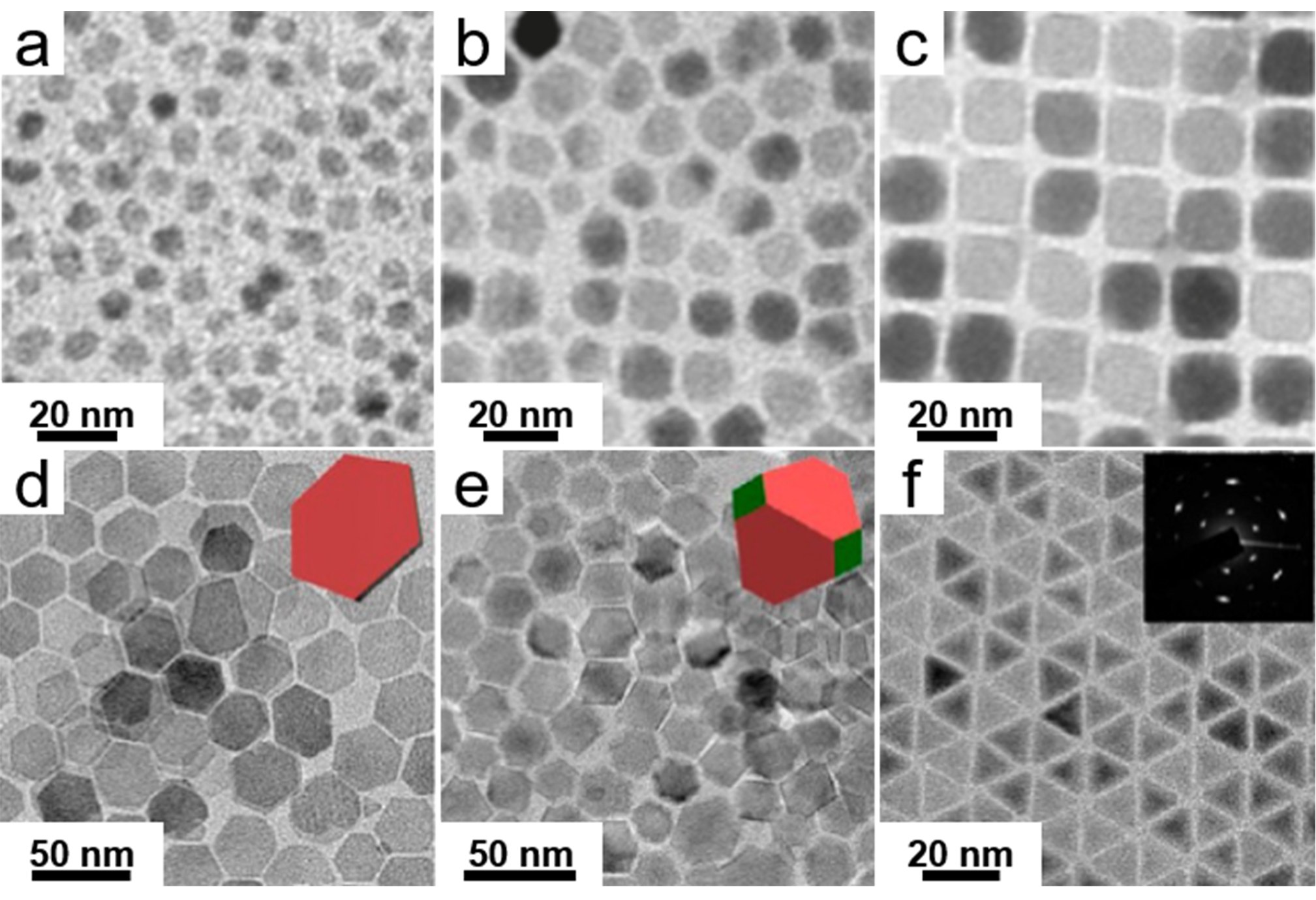 Transmission electron microcrospy Transmission electron microcrospy