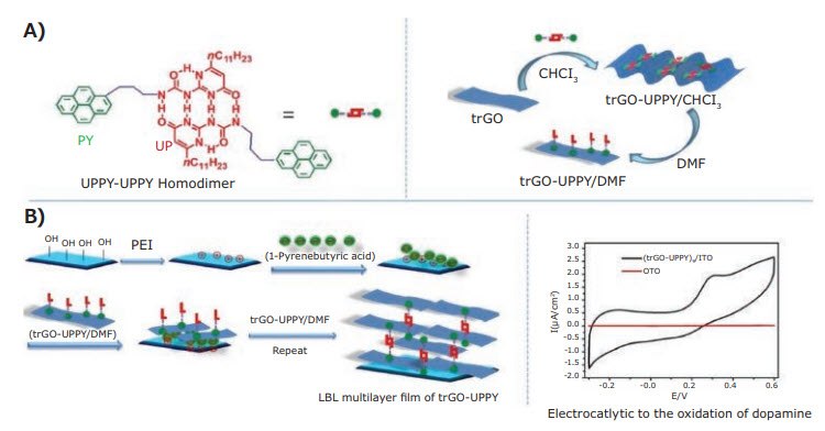 uppy-uppy Formation of UPPY-UPPY homodimer