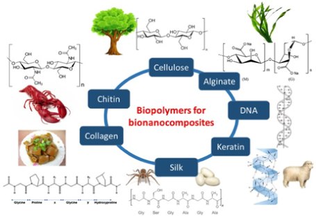 Examples of biopolymers (greener polymers) for bionanocomposites Depicted biopolymers (with molecular structures): cellulose, alginate, DNA, keratin, silk, collagen, chitin
