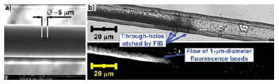 figure3333 Experimental results of focused ion beam