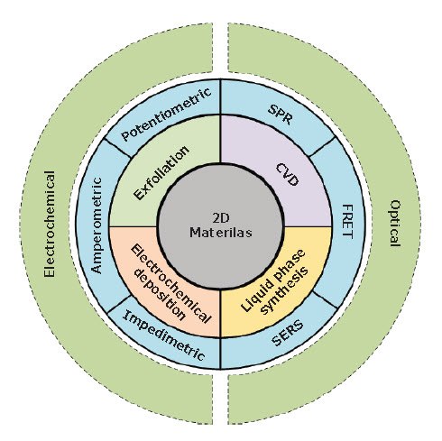 Various synthesis methods overview An overview of various synthesis methods (i.e., exfoliation, chemical-vapor deposition (CVD), electrochemical deposition and liquidphase synthesis) of 2D materials for application in electrochemical biosensors (i.e., amperometric, potentiometric, and impedimetric methods) and optical biosensors (i.e. FRET: Forster resonance energy transfer, SERS: surface-enhanced Raman spectroscopy, and SPR: surface plasmon resonance)