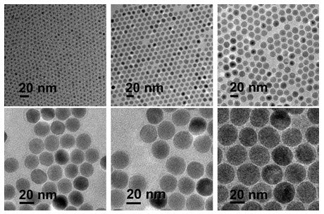 TEM images of 20 nm diameter Iron Oxide Nanoparticles Transmission Electron Microscopy (TEM) images showing six panels of Iron Oxide Nanoparticles with a diameter of 20 nanometers. Each panel displays a different magnification and arrangement, revealing the spherical shape and uniform size of the nanoparticles. The scale bar in each image indicates 20 nm, confirming the consistency of particle size across the various images.