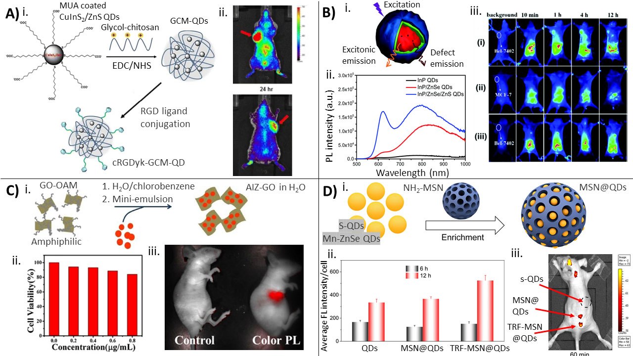 Bioimaging applications for various types of Cd-free QDs Bioimaging applications for various types of Cd-free QDs