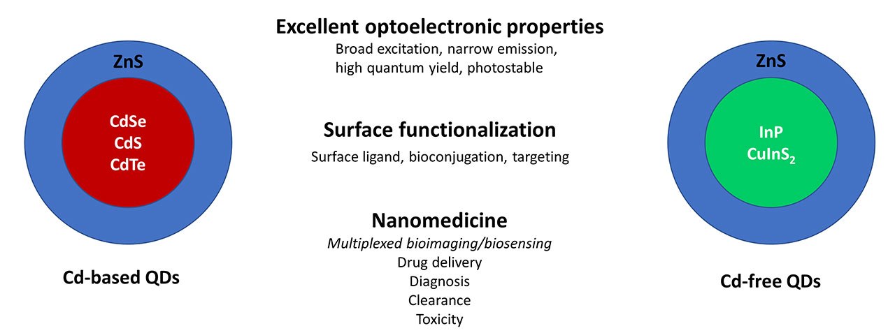 Cd-based vs. Cd-free QDs for applications in nanomedicine Cd-based vs. Cd-free QDs for applications in nanomedicine