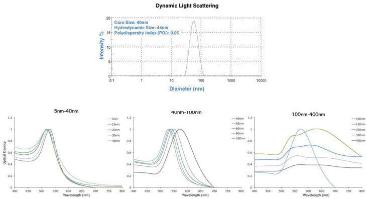 DLS & UV-Vis spectra showing precise gold nanoparticles from Cytodiagnostics. DLS & UV-Vis spectra showing precise gold nanoparticles from Cytodiagnostics