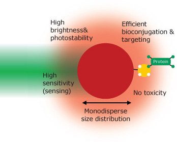 Properties of an ‘ideal’ fluorescent nanomaterial The properties of an ‘ideal’ fluorescent nanomaterial.
