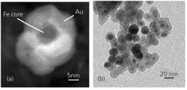 Complex Multi-phase Materials Complex Multi-phase Materials