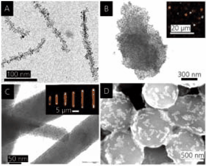 Surface Coatings and Hierarchical Assemblies Surface Coatings and Hierarchical Assemblies