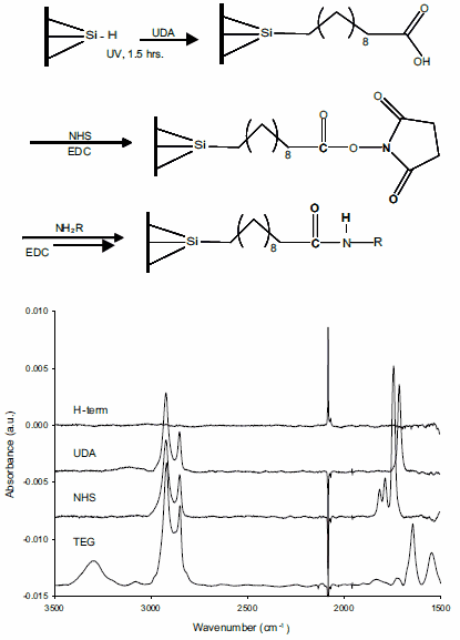 multi-step-reaction-scheme General multi-step reaction