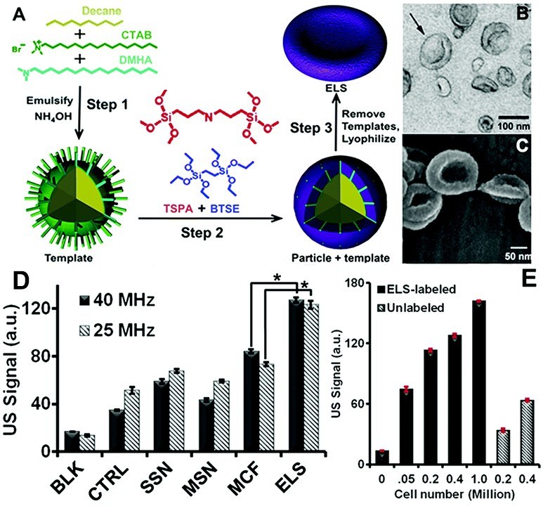 Schematic of the novel ELS nanoparticles prepared via an emulsion template method. Schematic of the novel ELS nanoparticles prepared via an emulsion template method.