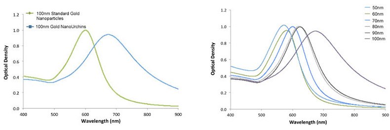 Left - UV-VIS spectra of 100 nm Gold NanoUrchins (blue) and 100 nm standard gold nanoparticles (green). Note the red-shift in the SPR-peak. Right - UV-VIS spectra of Gold NanoUrchins ranging in size from 50 nm to 100 nm in diameter. UV-VIS spectra of 100 nm Gold NanoUrchins (blue) and 100 nm standard gold nanoparticles (green). Note the red-shift in the SPR-peak. Right - UV-VIS spectra of Gold NanoUrchins ranging in size from 50nm to 100nm in diameter.