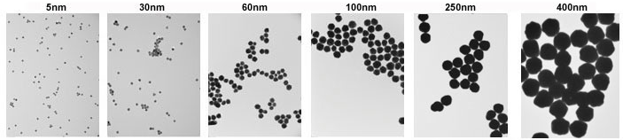 TEM images of 5 nm (left) and 400 nm (right) gold nanoparticles with <8% CV. TEM images of 5 nm (left) and 400 nm (right) gold nanoparticles with <8% CV
