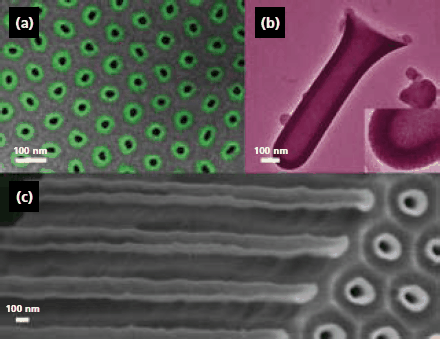 ALD — A Versatile Tool for Nanostructuring Electron micrographs (scanning, SEM; transmission