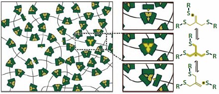 Covalent adaptable network structure based on crosslink units with allyl sulfide groups capable of radical addition-fragmentation to relieve stress during the polymerization. The presence of additional thiol terminated polymer chains allows for the reversible random replacement of existing carbon-sulfur linkages leading to the dissipation of stress throughout the cross-linked polymer network. Methacrylate Cross-Linked Networks