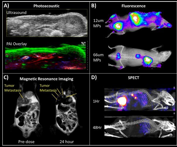 Biological Imaging Applications of FNP Nanoparticles Biological imaging applications of FNP nanoparticles