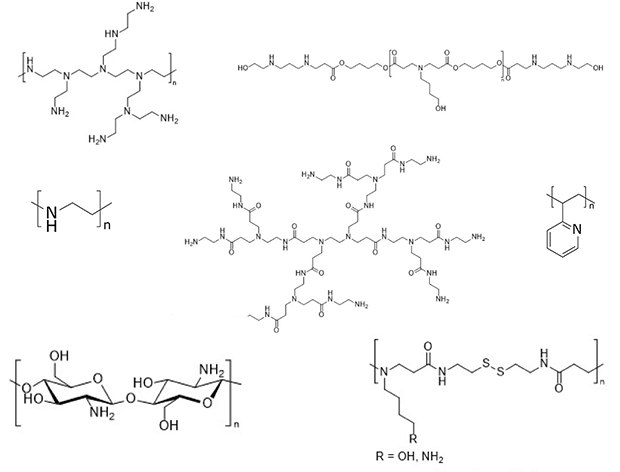 Cationic polymeric carriers used for microfluidic mixing with nucleic acids Structures of a variety of cationic polymer carriers including generation 2 poly(amidoamine) (PAMAM) dendrimers