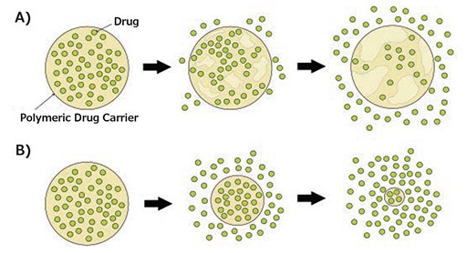 Degradation mechanisms of biodegradable polymeric drug carriers: A) bulk erosion, B) surface erosion. Degradation mechanisms of biodegradable polymeric drug carriers