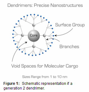 Schematic representation of a generation 2 dendrimer. Schematic representation of a generation 2 dendrimer.